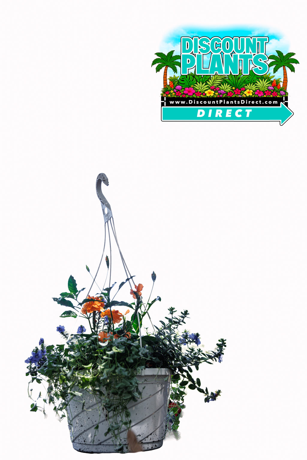 12" Combo Hanging Basket