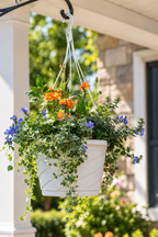 12" Combo Hanging Basket